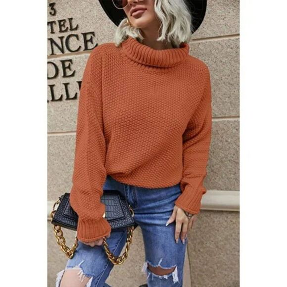 Burnt Orange Chunky Cable Knit Oversized Cowl Turtleneck Long Sleeve Sweater - Picture 2 of 6